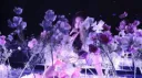 Olivia Rodrigo NSFW banner