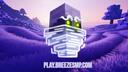 Breeze SMP Banner