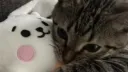 silly billy 18+ ᓚᘏ𑄝 server banner