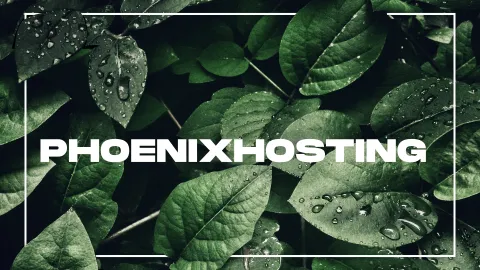 Phoenix Host - Where Uptime matters banner
