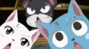/more banner
