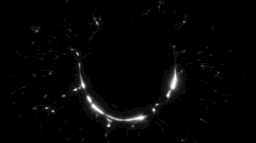 SXR-IMBH ⟢ ⌞20+⌝ server banner