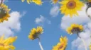 The Mupple Estate server banner