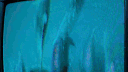 Wilbur & Lovejoy 💫 server banner