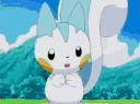 Pachi's Pingapalooza banner