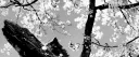 Chapter 0 [Formerly 𝙴𝙳𝙶𝙴] server banner
