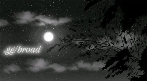 Broad banner