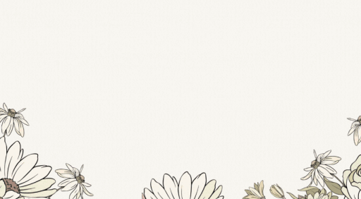 Sailors Paradise | Trading and Community Discord server banner