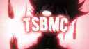 TSB | Mobile Competitive Banner