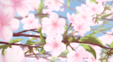 wholesome arCATia ♡ server banner
