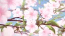 wholesome arCATia ♡ server banner