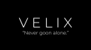 Velix banner