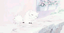 Leo’s garden banner