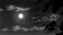 Astro Network Discord server banner