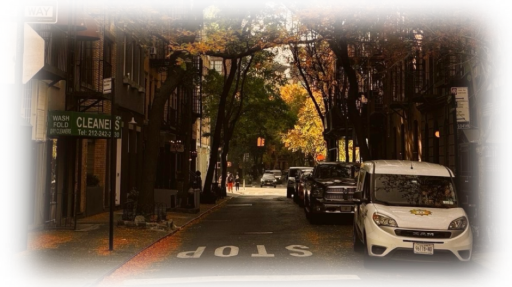 ⎯⎯ ﹒ ⁺ 𝗥𝗔𝗩𝗘𝗡𝗖𝗥𝗘𝗦𝗧 ༝ 𝑢niversity ﹒ Discord server banner