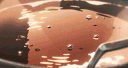 .ᐟ.ᐟ The Shifters Café ☕ banner