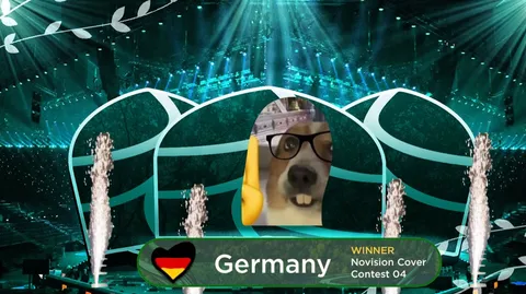 Novision Song Contest banner