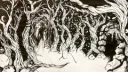 Starbird Discord server banner
