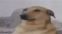 𝓟𝓮𝓷𝓭𝓮𝓳𝓪𝔃𝓲𝓸𝓼 banner