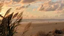 ★ Seafoam ' Cove ❞ banner