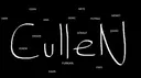 cullen banner