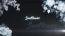 Sunflower Banner