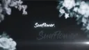Sunflower banner