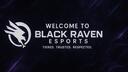 BLACK RAVEN ESPORTS Banner