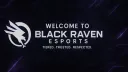 BLACK RAVEN ESPORTS Banner