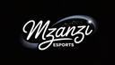 MZANZI ESPORT ORG Banner