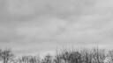 World Community Banner