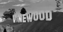 vinewood-rpg.com — beyond the ordinary banner