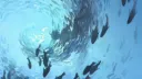 🦈 Shark's Shiver 🦈 server banner