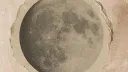 Selenia Discord server banner