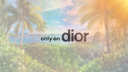 The Dior Network Banner
