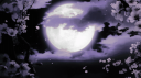 Rox’s Server Banner