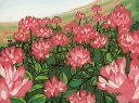 Backyard (REOPENING) banner