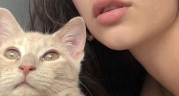 N A T I O N A L server banner