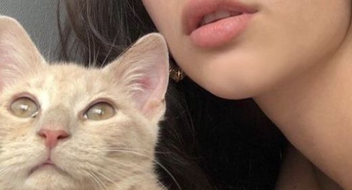 N A T I O N A L Discord server banner