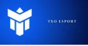 TXO eSport banner