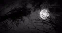 Gevurath server banner
