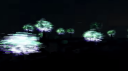 Tcaw | Glitched Biome Hunt banner