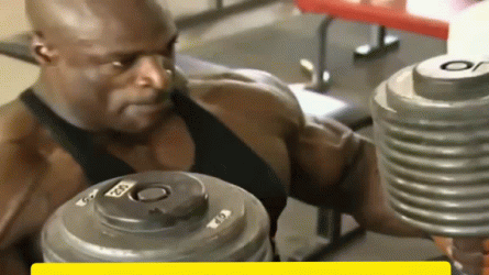 /fit/cord Discord server banner