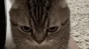 F҉a҉r҉b҉o҉d҉t҉k҉_҉'s DonutSMP Hangout banner