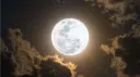 Prime Loncası banner