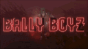 Bally Boys banner