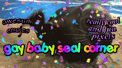 gay baby seal corner Discord server banner