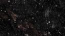 Luan Banner