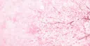 ݁ ݂ ༷ ♡͝ ᣟ /wisteria ᣟ݂ ˳݂ ִ Discord server banner