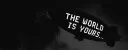 banner